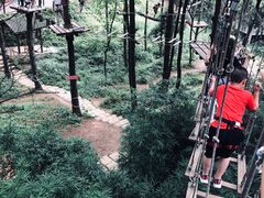 -梦幻奥陶纪景区