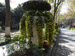 -杭州植物园