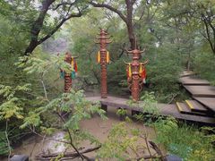 -大青沟风景区