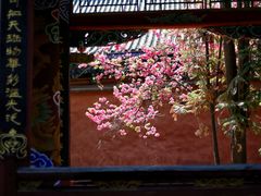 -巍山古城