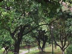 -燕晗山郊野公园