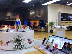 -Sony Store 索尼(来福士店)