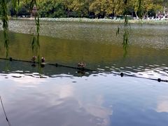 -比格比萨自助(南京万达茂店)