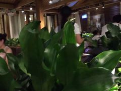 -润泽园椰子鸡(汇一城店)
