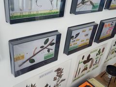 -石家庄市植物园