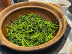 -熠盛粤味·顺德桑拿鸡(永康路店)