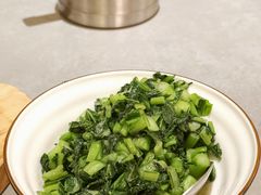 青菜钵-张烤鸭·川菜·非遗冒烤鸭(青石桥店)