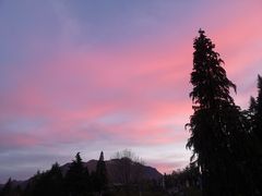 -Patagonia Chocolates(皇后镇店)