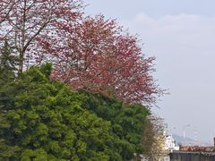 -长洲岛