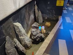 -川锅一号火锅(铜山万达店)