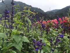 -广州市石门国家森林公园