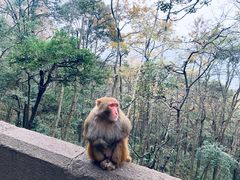 -黔灵山公园-南门售票处