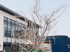 -喜茶(北京五棵松华熙店)