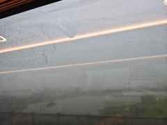 -重庆市奥林匹克体育中心-游泳跳水馆