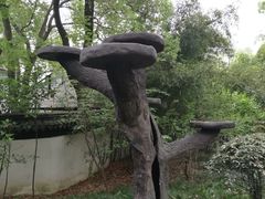 -汇龙潭