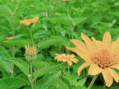 -永定河休闲森林公园