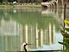 -南宁南湖公园