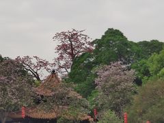 -南海神庙