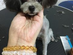 -宠屋宠物美容店