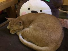 -默迹咖啡馆