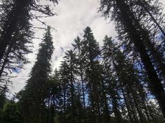 -硗碛藏寨·神木垒景区