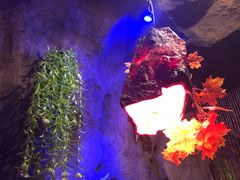 -醉小酒馆·川菜·江湖菜·重庆菜(观音桥旗舰店)