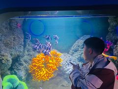 -重庆欢乐海底世界