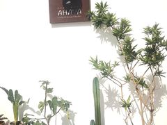-AHAVA·Fang Baking Studio