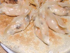 三鲜锅贴-宽鲜锅贴家常菜(永旺东部购物中心香港中路店)