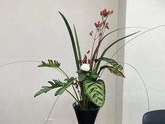 -帝京日语(春熙路旗舰校区)