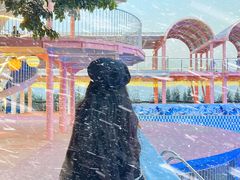 -巨鹏飞梦幻海岸