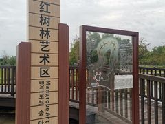 -大湾区中央湿地公园