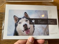 -猫的天空之城概念书店(苏州平江店)