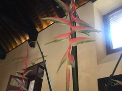 -Ministry of Crab(科伦坡店)