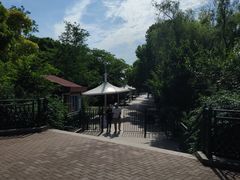 -新江湾城公园