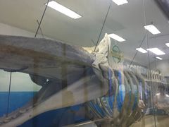 -厦门海底世界