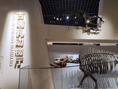 -国家自然博物馆