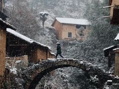 -杨家堂村