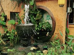 -园林美食城·本土农家菜(杨和镇店)