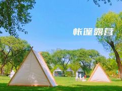 -御林古桑园