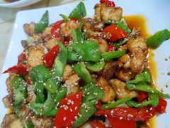 -煲来饱去冷水鱼