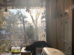 -海边的猫和咖啡馆