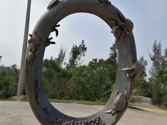 -广东惠东海龟国家级自然保护区