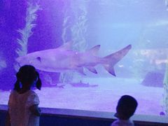 -常州海昌海洋探索馆