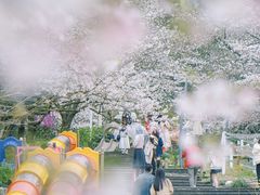 -杭州少年儿童公园