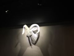 -秃鹫湾·推理大师沉浸式实景演绎推理剧场