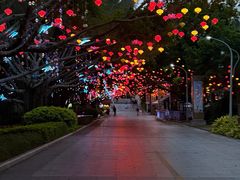 -厦门园林博览苑