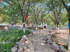 -古柏渡飞黄旅游区