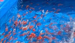 -萌宠亲子动物乐园(槐房万达店)