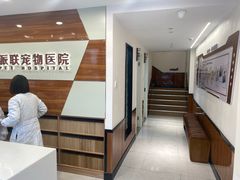 -派联宠物医院·24h·CT·异宠